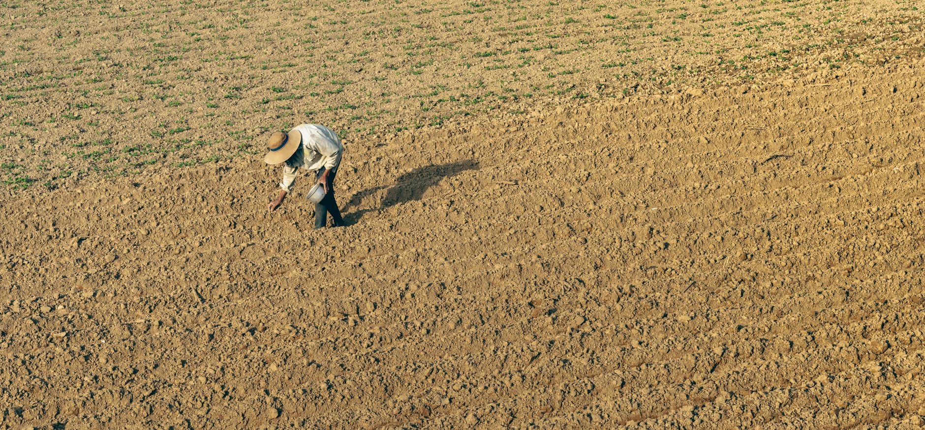 farmer looking at tablet in field